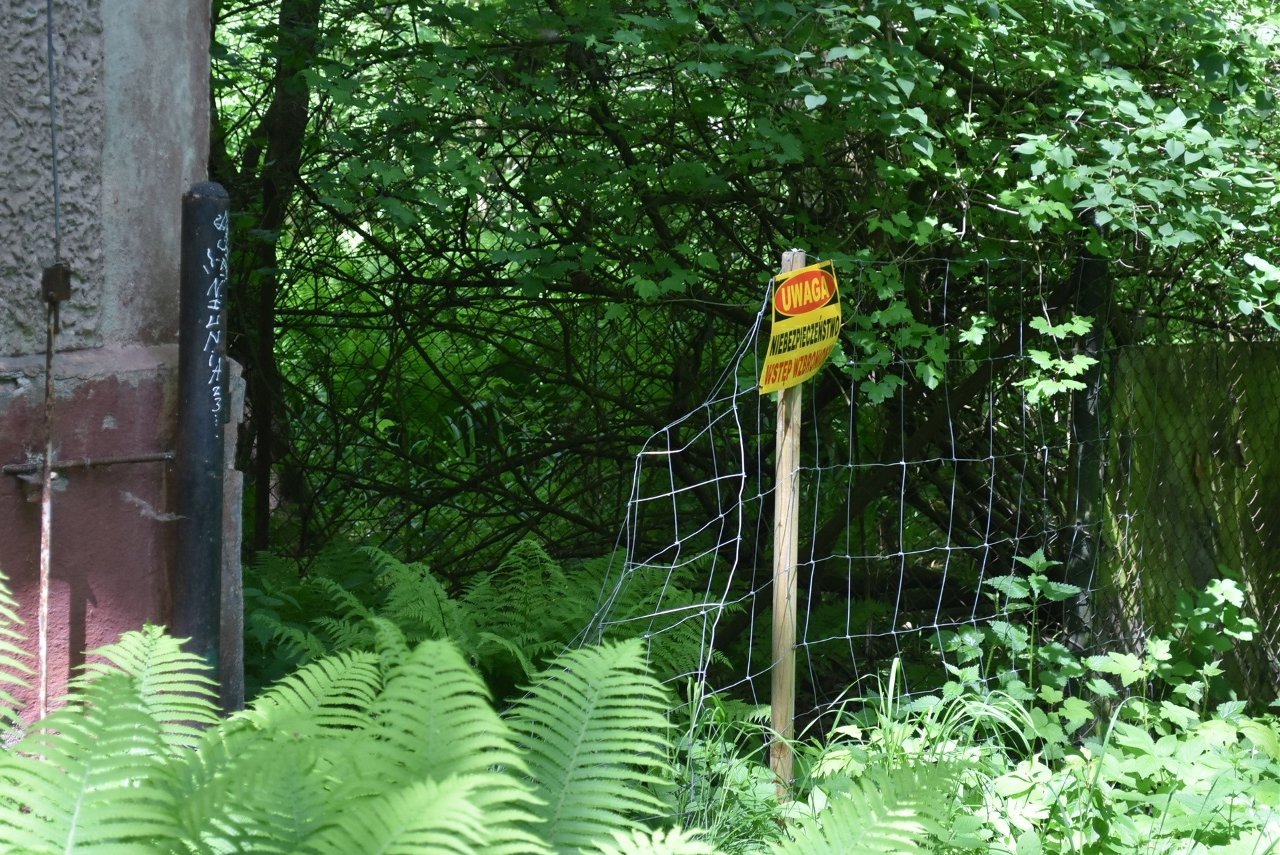 Leśna droga w Lesie Marysieńka