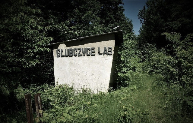 Dawny przystanek kolejowy pochłonięty przez las