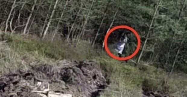 Kadr z filmu o Lesie Marysieńka