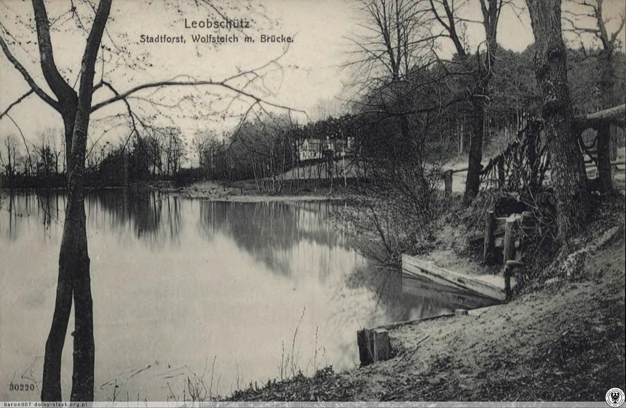 Przedwojenne zdjęcie stawu śmierci