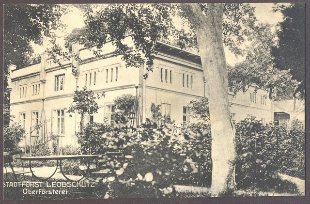 Nadleśnictwo — pocztówka przedwojenna, Leobschütz Stadt Buchwald