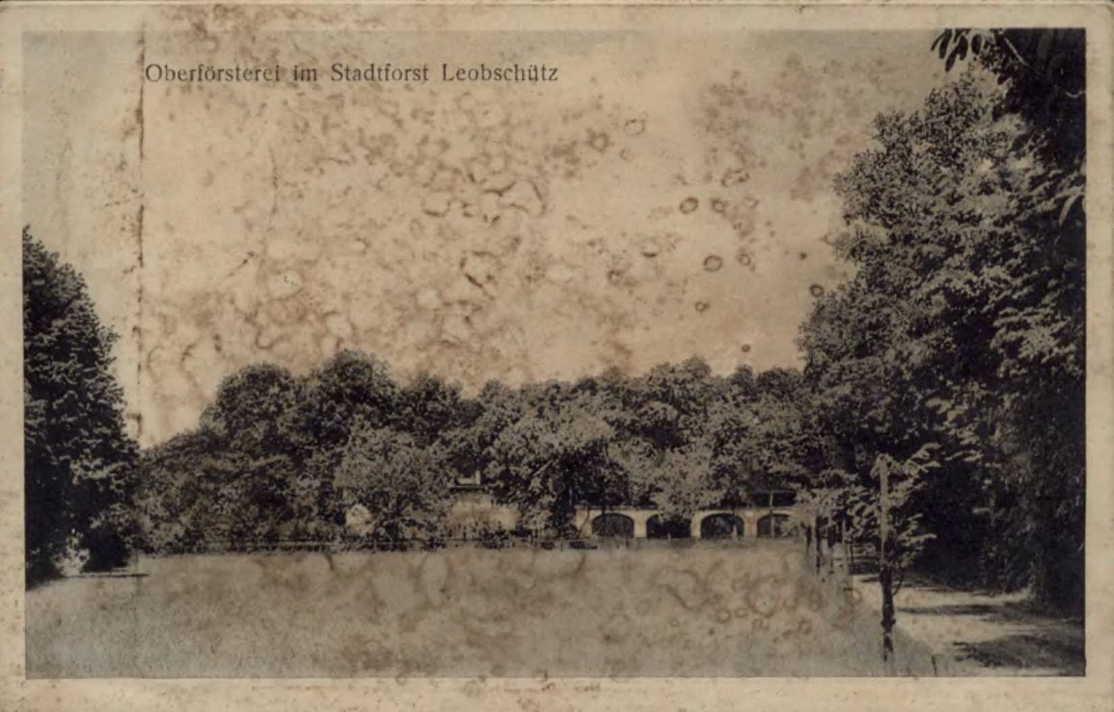 Nadleśnictwo — kolejne zdjęcie historyczne
