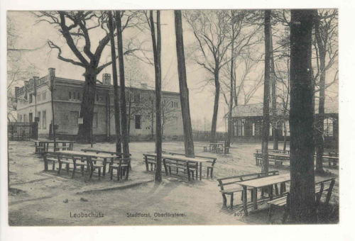 Nadleśnictwo