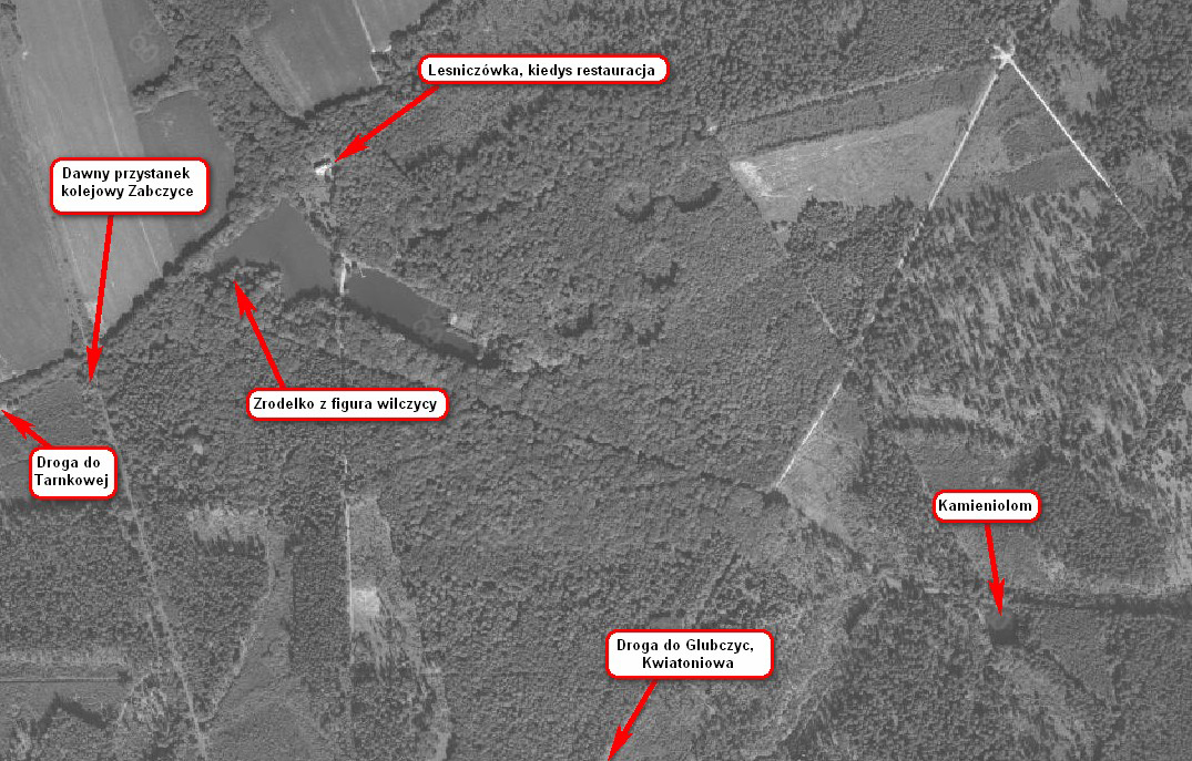 Mapka Wilczych Stawów — las miejski Głubczyc