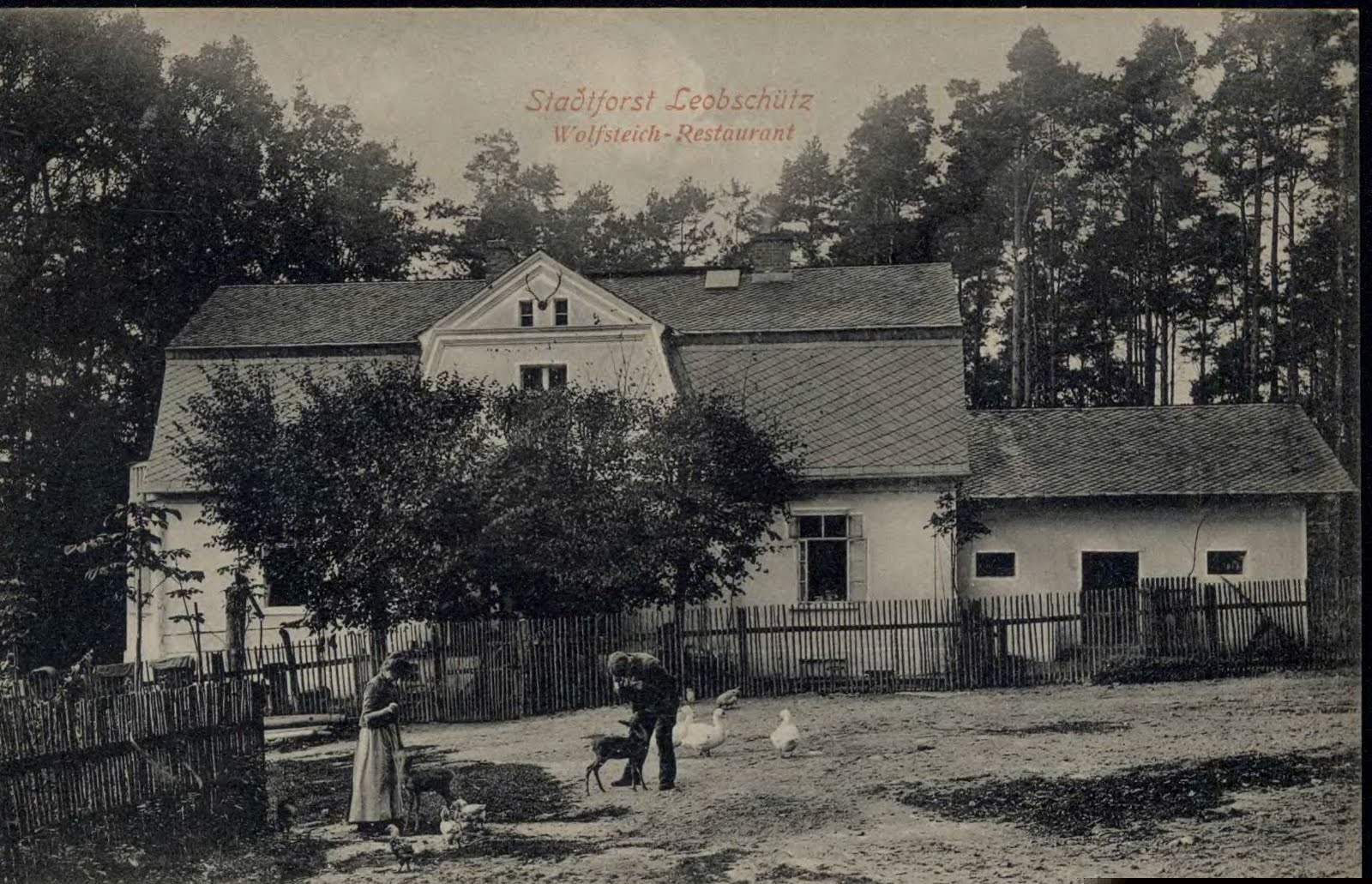 Restauracja — ok. 1910