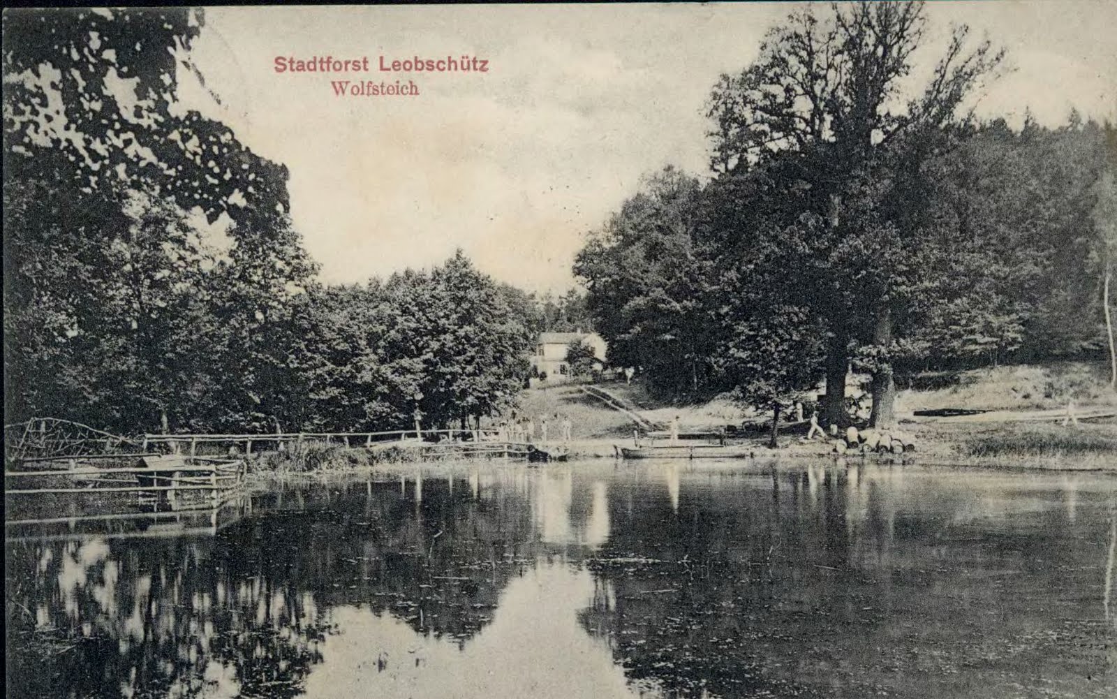 Restauracja — ok. 1912, w tle las