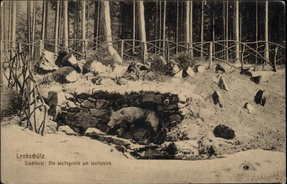 Grota wilczycy — pocztówka przedwojenna
