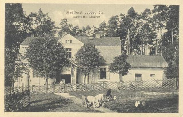Wolfsteich — widok 1