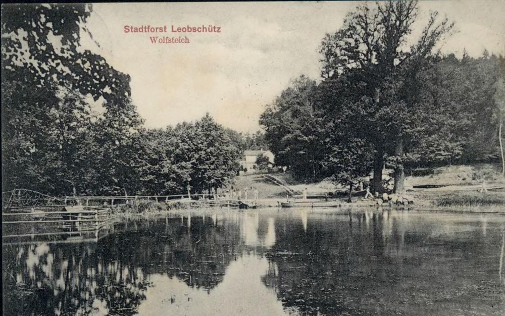 Wolfsteich — widok 4