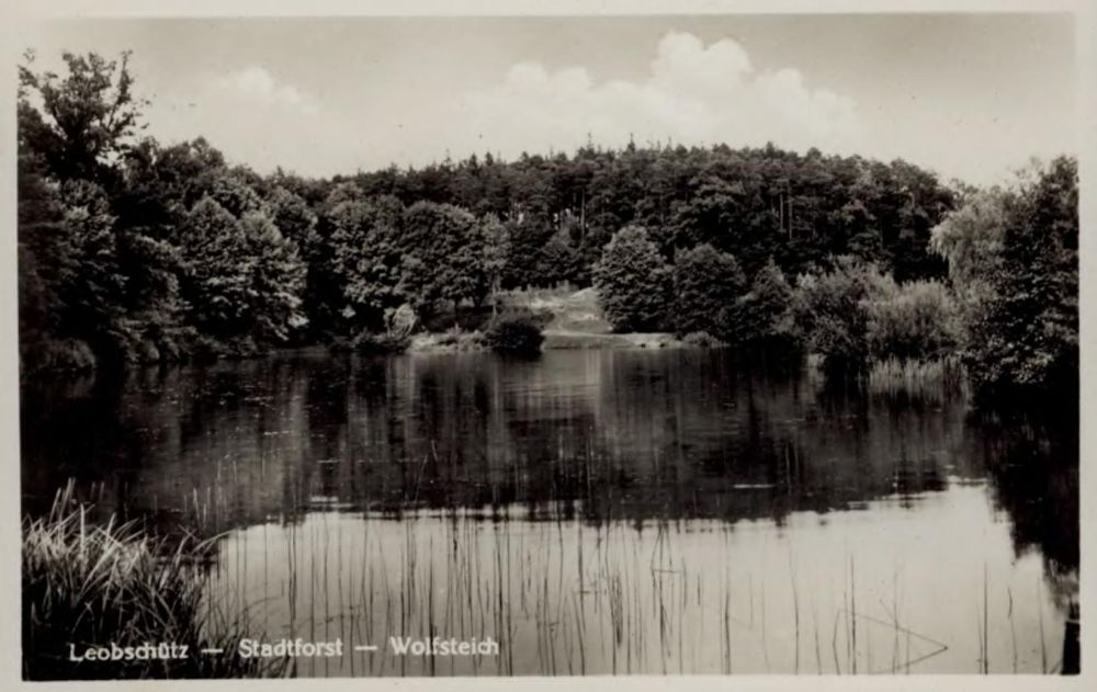 Wolfsteich — widok 5