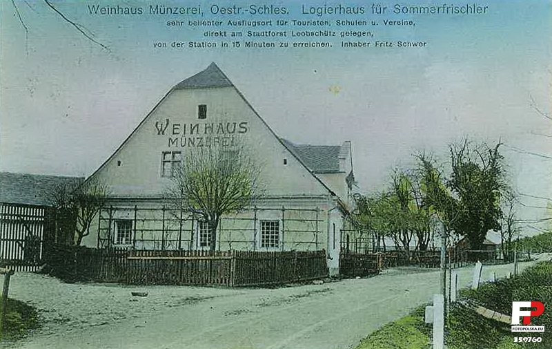 Winiarnia Münzerei, ok. 1900–1910