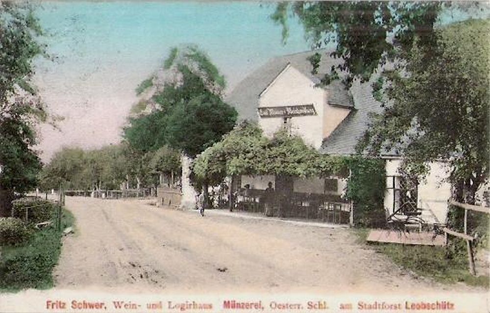 Winiarnia Münzerei, ok. 1905–1913