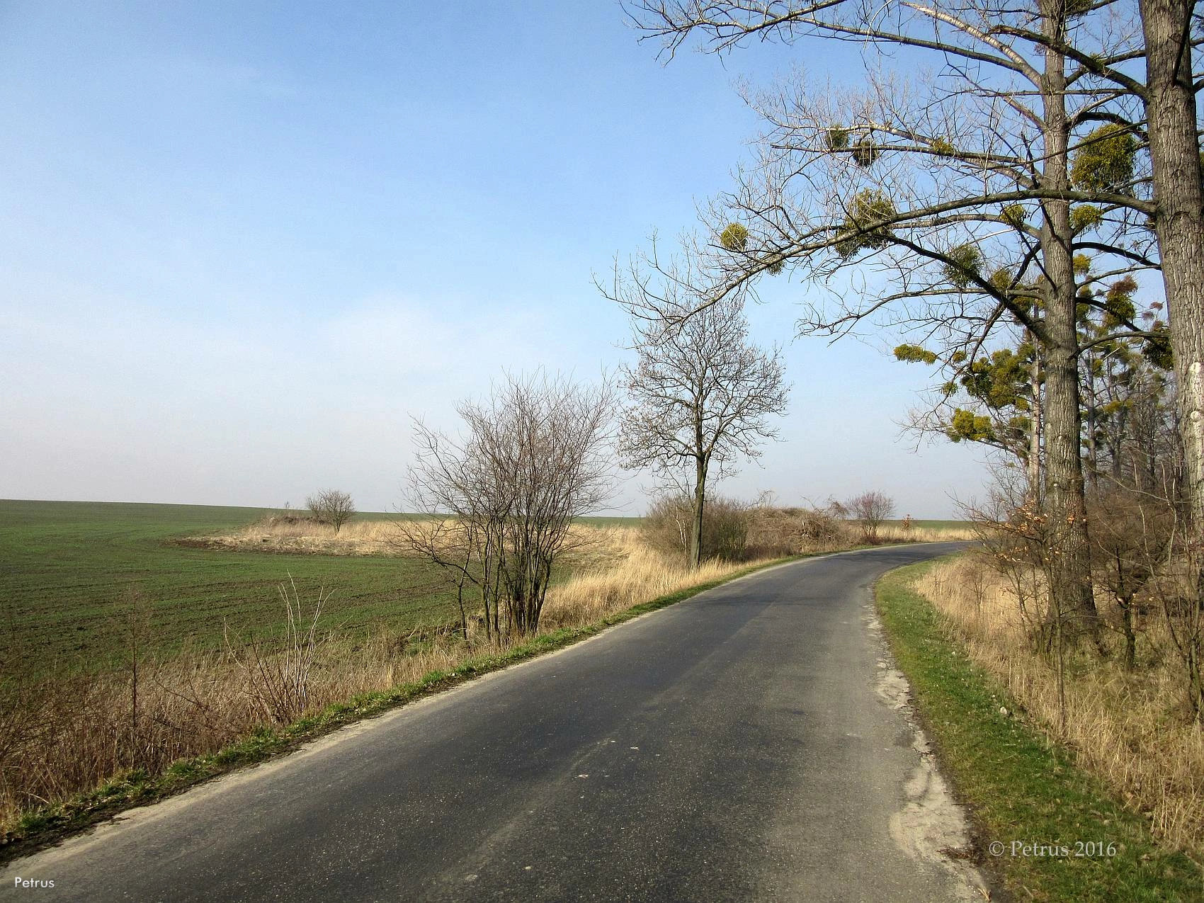 Zakręt drogi w 2016 roku — miejsce dawnej winiarni