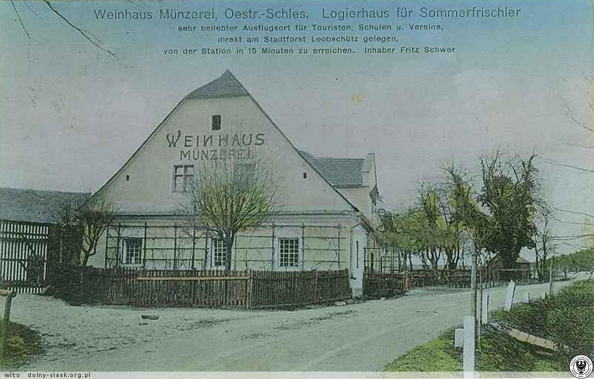 Winiarnia Münzera, ok. 1900–1920